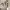 https://res.cloudinary.com/billionhands/image/upload/v1770825241/items/u4bykb1dwqb64iymiuhv.jpg-1cover