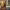 https://res.cloudinary.com/billionhands/image/upload/v1770825248/items/qld4is0ycixgxgjieqbv.jpg-0cover