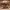 https://res.cloudinary.com/billionhands/image/upload/v1770825287/items/pivjfb0fpczsayznc333.jpg-1cover
