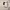 https://res.cloudinary.com/billionhands/image/upload/v1770825324/items/nn0iwkac4tjhedrrhodw.jpg-3cover