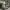 https://res.cloudinary.com/billionhands/image/upload/v1770825343/items/ghl3dgxjfsavgby4ibis.jpg-0cover