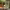 https://res.cloudinary.com/billionhands/image/upload/v1770825349/items/nngztjckpgk2zmyhqhsw.jpg-3cover