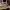https://res.cloudinary.com/billionhands/image/upload/v1770825352/items/wcyvnthnx8csjgdi2r4c.jpg-3cover