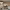 https://res.cloudinary.com/billionhands/image/upload/v1770825368/items/fsdqyga1fvw0a5koxz9t.jpg-3cover