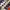 https://res.cloudinary.com/billionhands/image/upload/v1770825377/items/gsfg6qkk4ztorpdxrf7y.jpg-0cover
