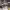 https://res.cloudinary.com/billionhands/image/upload/v1770825421/items/nj0utjvwmyono7zvej6y.jpg-1cover