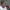 https://res.cloudinary.com/billionhands/image/upload/v1770825462/items/jafa9hzn1y33q6bqvpyd.jpg-2cover