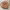 https://res.cloudinary.com/billionhands/image/upload/v1770825483/items/ckzhufwhvgrmc3hbggaj.jpg-2cover