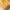https://res.cloudinary.com/billionhands/image/upload/v1770825487/items/wagwdtdpsd6z3ggyxuql.jpg-3cover