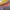 https://res.cloudinary.com/billionhands/image/upload/v1770825505/items/yo1eyxxfiumlbupbqqkd.jpg-2cover