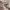 https://res.cloudinary.com/billionhands/image/upload/v1770825514/items/n1vxlcwrfczuqhzgatqx.jpg-2cover