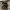 https://res.cloudinary.com/billionhands/image/upload/v1770825530/items/bdijtus3uwa66mmunl7n.jpg-0cover