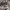 https://res.cloudinary.com/billionhands/image/upload/v1770825534/items/m45rtmoijdt1bfllpy1h.jpg-2cover