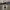 https://res.cloudinary.com/billionhands/image/upload/v1770825556/items/if0whzy3mdkjxgrxuzlt.jpg-2cover