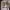 https://res.cloudinary.com/billionhands/image/upload/v1770825648/items/pndzl3ipac5ql80plhps.webp-2cover