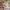 https://res.cloudinary.com/billionhands/image/upload/v1770825655/items/vdoxk1jckfyrsjyz9k5e.jpg-1cover