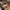 https://res.cloudinary.com/billionhands/image/upload/v1770825665/items/ltl6nmnjxcicrldpbt5v.jpg-0cover