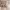 https://res.cloudinary.com/billionhands/image/upload/v1770825670/items/qd1vgrgfi4cwihxcadfv.jpg-3cover