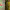 https://res.cloudinary.com/billionhands/image/upload/v1770825713/items/vuawnp3rmfhkfeej6fmo.png-2cover
