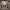 https://res.cloudinary.com/billionhands/image/upload/v1770825726/items/qv0io5que04cfvlieiac.jpg-2cover