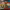 https://res.cloudinary.com/billionhands/image/upload/v1770825773/items/szoojap2xnykkez7zmn9.jpg-3cover