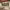 https://res.cloudinary.com/billionhands/image/upload/v1770825778/items/wuzgnhkgiqfw4rtnzjhm.jpg-1cover