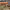 https://res.cloudinary.com/billionhands/image/upload/v1770825779/items/tkf0madxhmdsw2ngm3s4.jpg-2cover