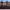 https://res.cloudinary.com/billionhands/image/upload/v1770825783/items/giy01zg6fxsqzltnhugs.jpg-2cover