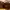 https://res.cloudinary.com/billionhands/image/upload/v1770825786/items/ntpfzmq1fiel5eugsujg.png-1cover