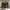 https://res.cloudinary.com/billionhands/image/upload/v1770825786/items/ok2oonc1ya88ra8vc05c.jpg-0cover