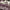 https://res.cloudinary.com/billionhands/image/upload/v1770825839/items/dhvjhglgidrbl4dlsg1y.png-0cover