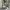 https://res.cloudinary.com/billionhands/image/upload/v1770825853/items/zcnmcxq3z6qhjne18yfc.avif-1cover