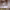 https://res.cloudinary.com/billionhands/image/upload/v1770825946/items/hhexlkl7vsrzrw8nozta.jpg-0cover