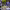 https://res.cloudinary.com/billionhands/image/upload/v1770825963/items/zyjvsm30yyvs8ujd6suo.jpg-0cover