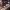 https://res.cloudinary.com/billionhands/image/upload/v1770825965/items/iclvbtcwhxxfwcct8hom.jpg-2cover