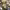https://res.cloudinary.com/billionhands/image/upload/v1770825965/items/qbjpxjbdjk6i7tjkxghg.jpg-2cover