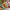 https://res.cloudinary.com/billionhands/image/upload/v1770825967/items/jp7itg1kfcpkpcmlzcpj.jpg-1cover