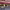 https://res.cloudinary.com/billionhands/image/upload/v1770825979/items/sqc0xpotywwzuuqdq788.jpg-0cover