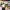 https://res.cloudinary.com/billionhands/image/upload/v1770826052/items/c6zxwzmloslbjomgqc1s.webp-2cover