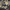 https://res.cloudinary.com/billionhands/image/upload/v1770826054/items/uaujrfepkexwfygz7wyr.jpg-3cover