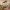 https://res.cloudinary.com/billionhands/image/upload/v1770826060/items/fi1r2uqakjygwju3gnqk.jpg-3cover