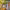 https://res.cloudinary.com/billionhands/image/upload/v1770826074/items/sndvpomrddzbmrcr9qv9.webp-2cover