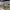 https://res.cloudinary.com/billionhands/image/upload/v1770826105/items/ezvxizxviggl0hdyvgph.jpg-0cover