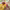 https://res.cloudinary.com/billionhands/image/upload/v1770826107/items/vn7wkkwge7ktfo0wbpfz.jpg-0cover