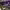 https://res.cloudinary.com/billionhands/image/upload/v1770826108/items/wapfxaygfcsku5dlsq3p.jpg-2cover