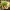 https://res.cloudinary.com/billionhands/image/upload/v1770826126/items/qvkax6kmntvbblevbz7o.jpg-2cover