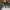 https://res.cloudinary.com/billionhands/image/upload/v1770826144/items/holxgpehwwi1j73675ke.jpg-0cover