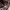 https://res.cloudinary.com/billionhands/image/upload/v1770826161/items/pzqhbxys72wizzz3hct5.jpg-0cover