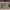 https://res.cloudinary.com/billionhands/image/upload/v1770826165/items/mn6uq9sm7gqchxuddyri.jpg-0cover