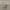https://res.cloudinary.com/billionhands/image/upload/v1770826195/items/qdldrggygm5aoxawpqd1.png-3cover